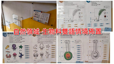 連結到11405雙語佈置4