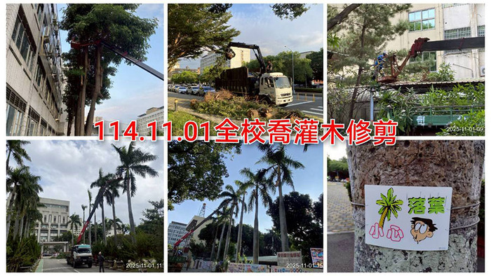 2511喬灌木修剪圖片