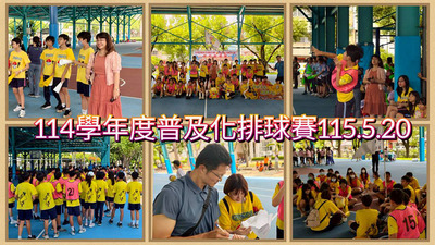 11505普及化排球比賽圖片
